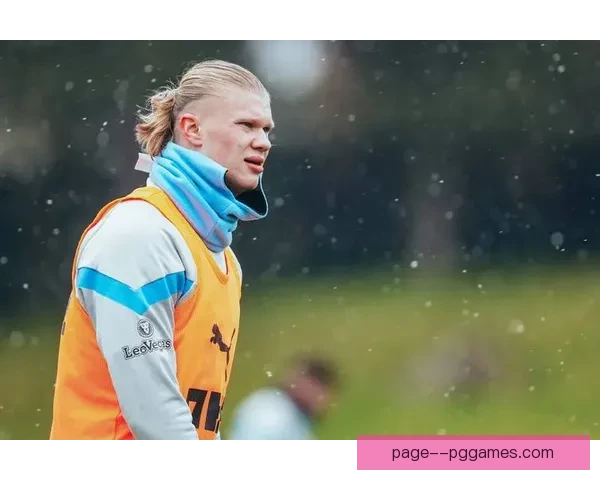 哈兰德英超金靴两连霸 以暴力美学征服赛场摧毁防线