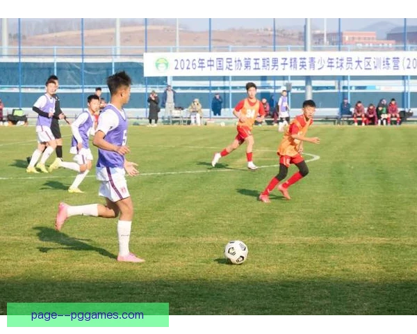 格鲁吉亚青训成果转化见效，国家队大赛崛起有底气